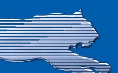 Attention: All Company Basics One Students and Graduates: