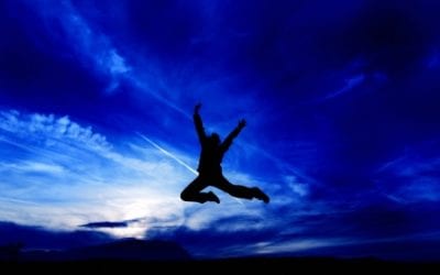 Management Degree: Basic Organization Theory Course