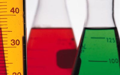 Associate Degree: Ethics and Business