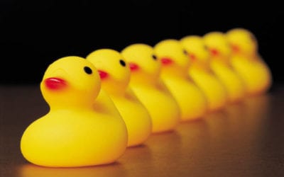 Master Consultant: Qualifications