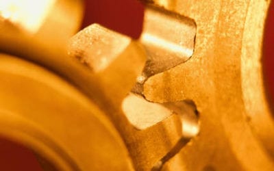 Business Degree: Executive Direction