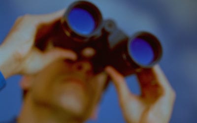 Consultant Training: Basics of Organization